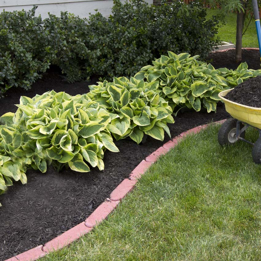 compost-with-hastas Compost Supply for Landscaping Projects